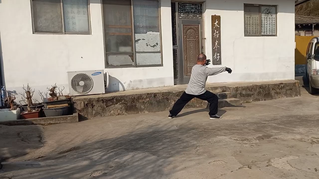 진식태극권(18식)