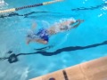 Combat swimmer stroke 7:00-7:30 pace