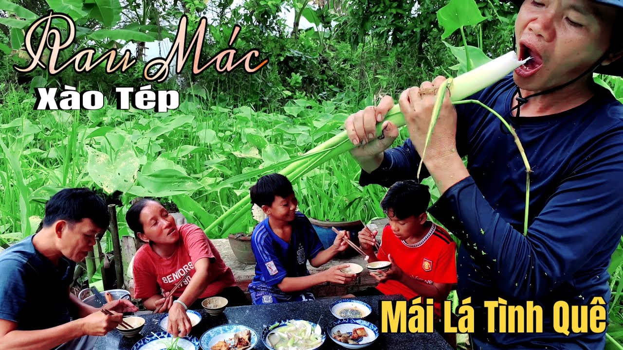 Rau Mác Xào Tép Ca Sặc Chiên Giòn ,Một Bữa Cơm Ngon Lâu Ngày Mới Ăn Lại ...