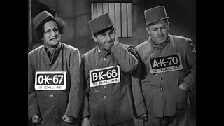 The Three Stooges - In The Sweet Pie And Pie