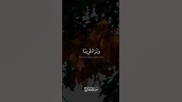 سورة الإنسان | القارئ فيصل الهاجري  #الوتر #حالات_واتس