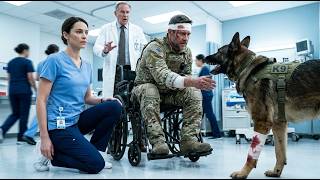 Hospital Director Ordered the Quiet Nurse to Remove a SEAL's K9—Then the Entire Ward Went Silent