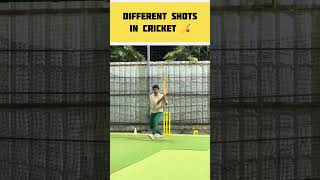 எப்டி Ball போட்டாலும் அடிப்பேன்டா😅 | Different Shots🏏 #Shorts | Sriram Prince