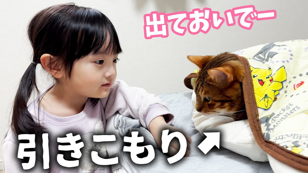 引きこもりの元噛みつき猫 vs 引きずり出したい5歳娘の日常 - YouTube