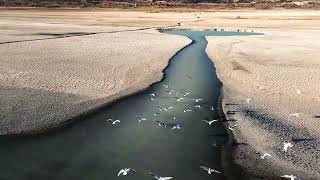 AI in Climate Action: Predicting Environmental Challenges