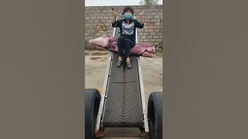 Folding Belt Conveyors. The middle can be folded, and the fertilizer can be lifted and lowered by