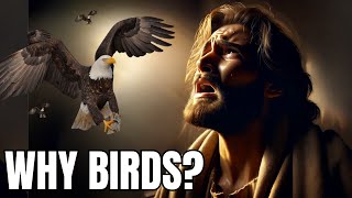 THIS Is Why Jesus Uses Birds To Address Anxiety | Christian Motivation