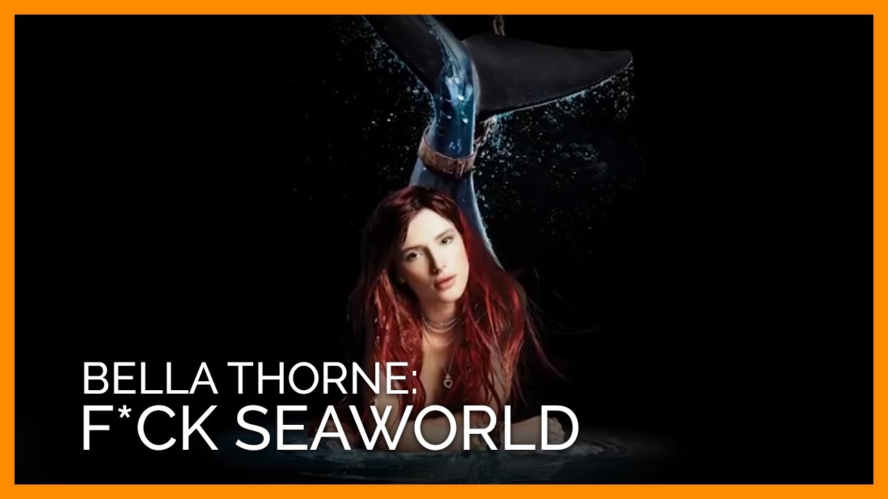 vegan recipes easy Bella Thorne Goes From SeaWorld Commercial to PETA Activist