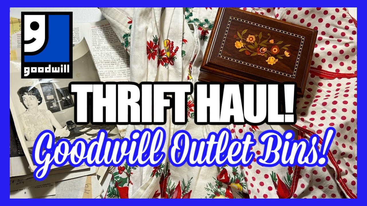 YOU WON'T BELIEVE HOW MANY I FOUND!! GOODWILL OUTLET BINS THRIFT HAUL ...