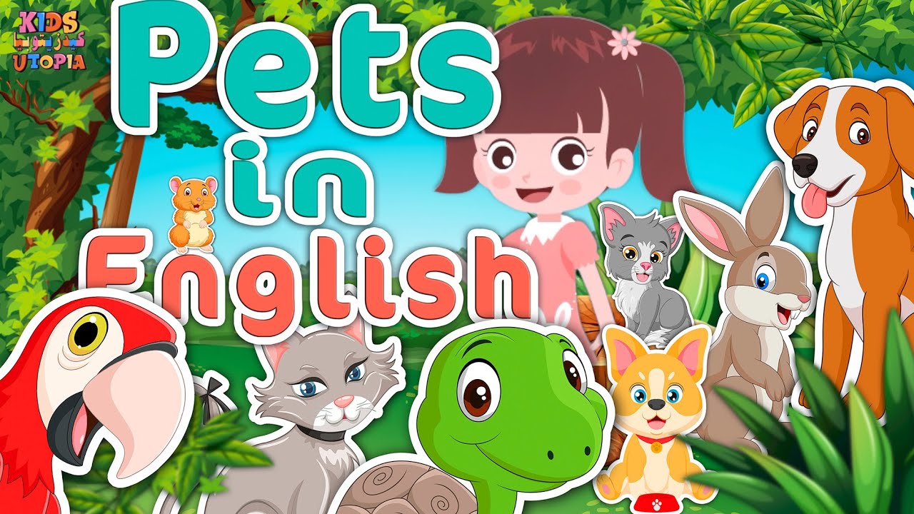 Pet Names In English YouTube Pet Names In English YouTube