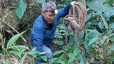 Săn chuột hang bằng ná cao su trong lòng đất