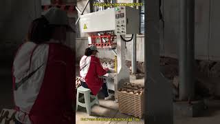 Hot Press Shaping Machine for Egg Tray | Precision Forming in Pulp Molding Line