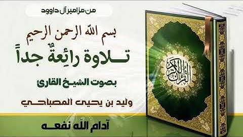 تلاوة رائعة جداً | بصوت الشيخ القارئ | وليد المصباحي