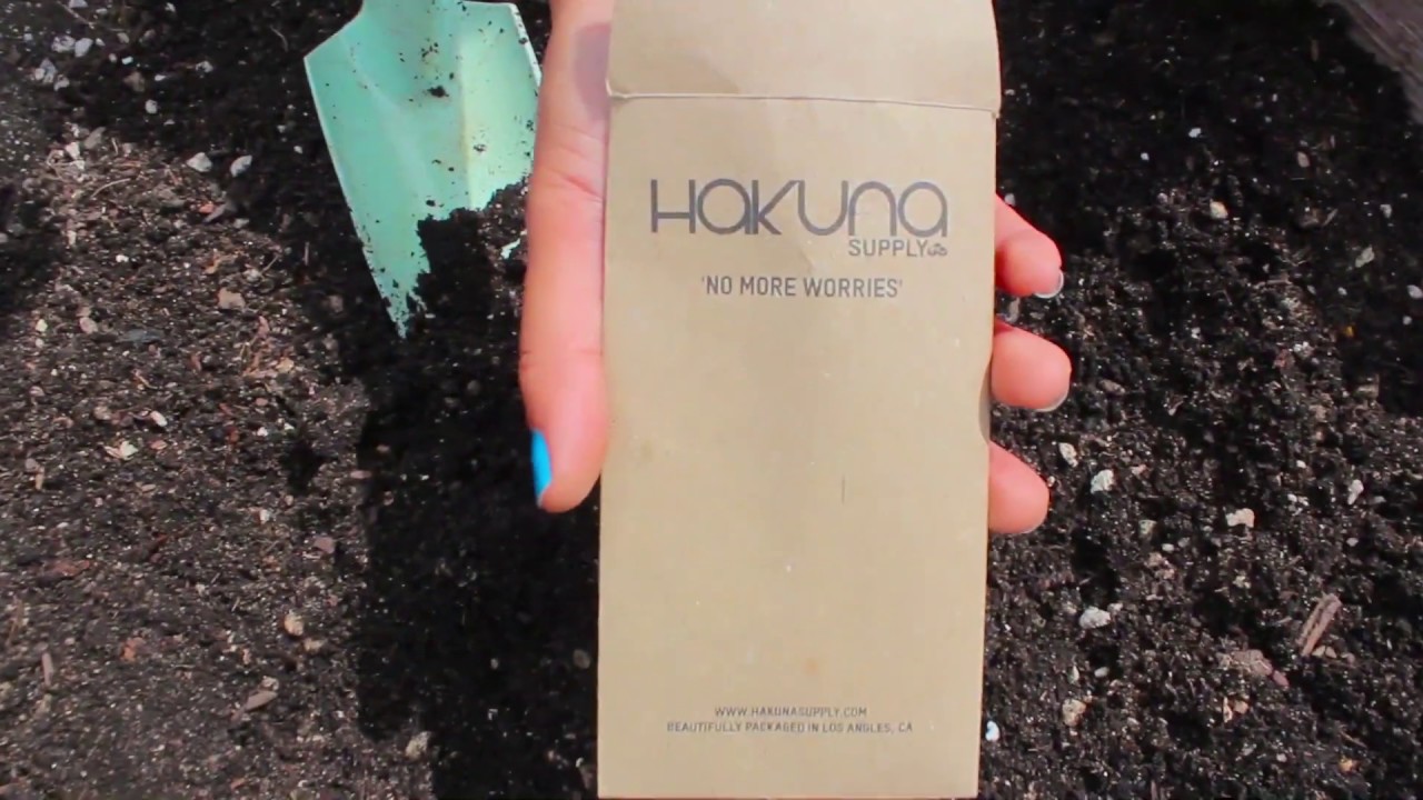 Hakuna Supply Seed Planting