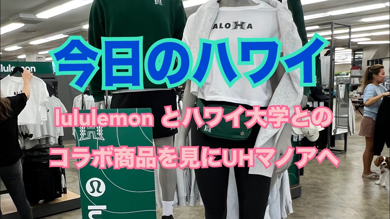 【今日のハワイ】Hawaii Today ハワイ大学へ！lululemon とハワイ大学とのコラボ商品が販売されてる！#ハワイ 