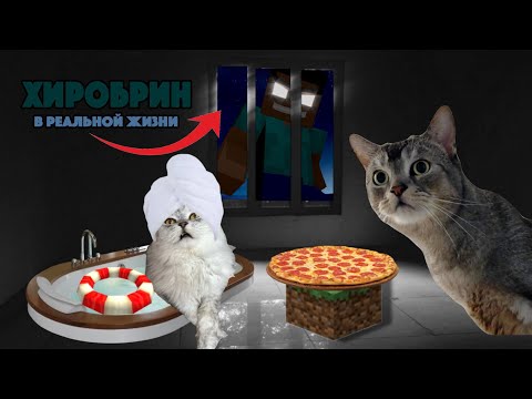 КОШАЧЬЯ ИСТОРИЯ УЖАСОВ | ХИРОБРИН В РЕАЛЬНОЙ ЖИЗНИ
