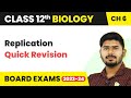 Replication Quick Revision - Molecular Basis of Inheritance | Class 12 Biology