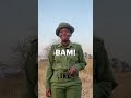 Ranger's most dangerous wildlife encounter