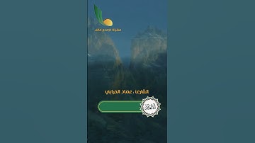 تلاوة خاشعة وهادئة مختارة من سورة الأنعام || من الآية 26 إلى  الآية 28 || القارئ عماد حرابي