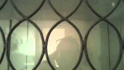 House2