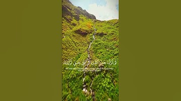 سورة الحشر [ ١٩-٢١ ] #ياسر_الدوسري #سورة_الحشر #quran