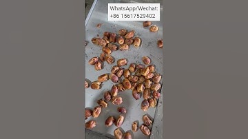 Olive Remover Date Removal Prune Pitting Devices Apricot Core Removing Machine#datepittingmachine