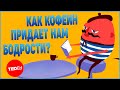 Как кофеин придаёт нам бодрости? | TED-Ed