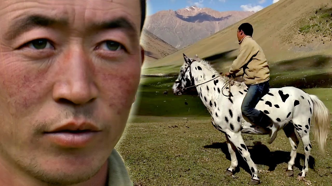 Rider of the Rare Kygyrz Horses FD Bites YouTube