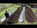 角材を切った後に畑周りの草が生えたので耕運機で耕し草が生えないか様子を見る
