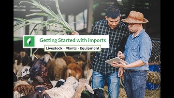 Getting Started with Data Imports