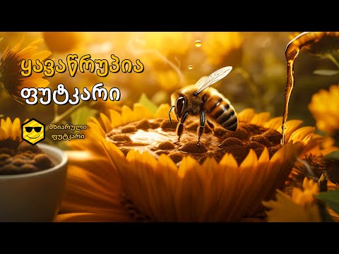 ყავაწრუპია ფუტკრებმა წაბლის თაფლი შეჭამეს