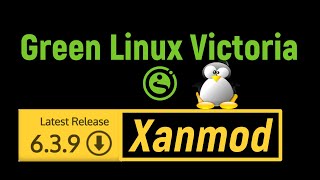 Green Linux 21.2 Pro Xanmod &amp; Linux Mint 21.2 Victoria Cinnamon | Настройка сети network resolv.conf
