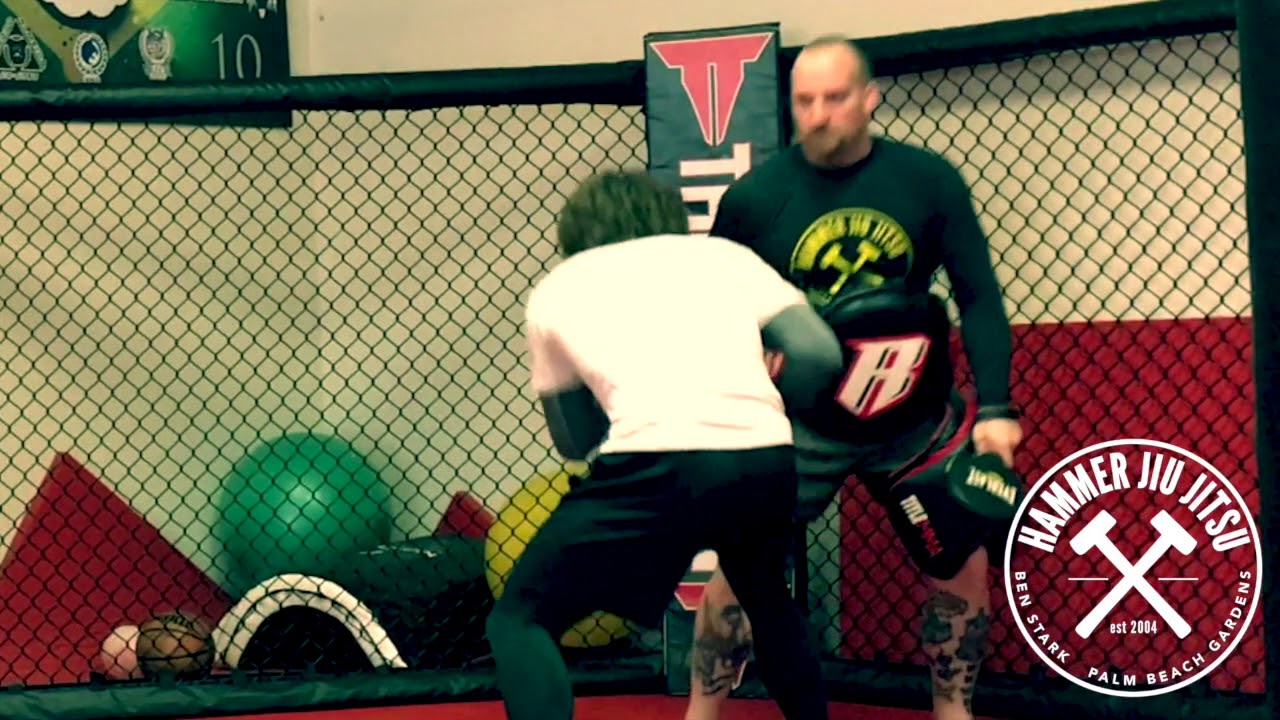 Gabe Barletta - Focus Mitts - Hammer Striking