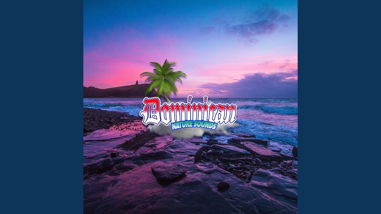 Tranquility Unleashed by the Mesmerizing Melodies of the Majestic Oceanic Symphony