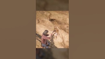 This Game Is Too Funny | Red Dead Redemption 2