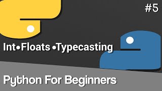 Celebrity What are Int Float? What is Typecasting? | Python for Beginners Net Worth