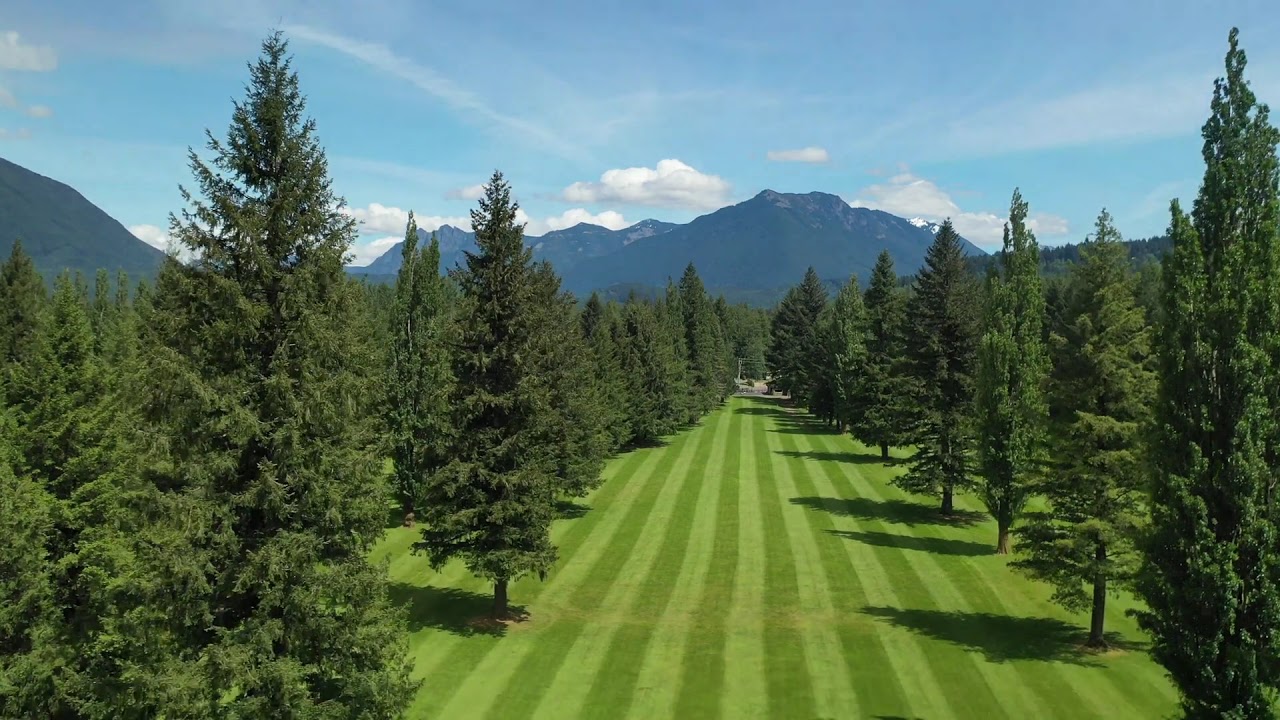 Disc Golf Course YouTube