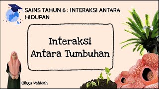 SAINS TAHUN 6 : INTERAKSI ANTARA HIDUPAN (Interaksi Antara Tumbuhan)