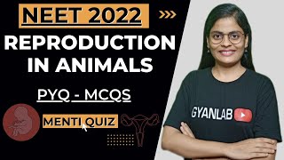 NEET 2022 | Reproduction in Animals | PYQs | Menti Quiz | 300+/360 | Gyanlab | Anjali Patel |