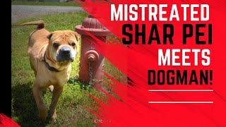 He Came To The Shelter Angry, But He Left Knowing All Humans Aren't Bad