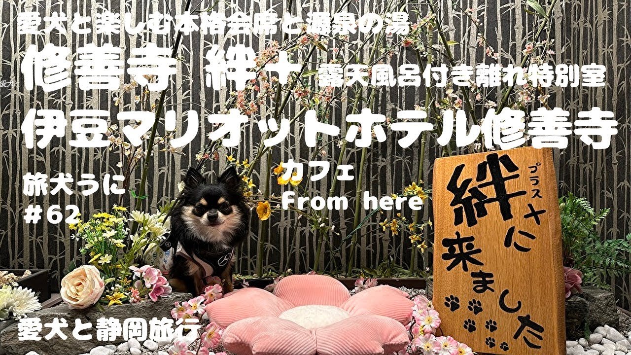 犬#63【静岡】修善寺絆＋・伊豆ﾏﾘｵｯﾄ修善寺  2023 旅犬うに@uni-channel2022