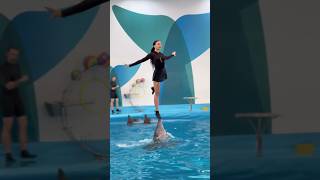 Pattaya Dolphinarium • #1 Dolphin Show in Asia! 🐬🐬☺️