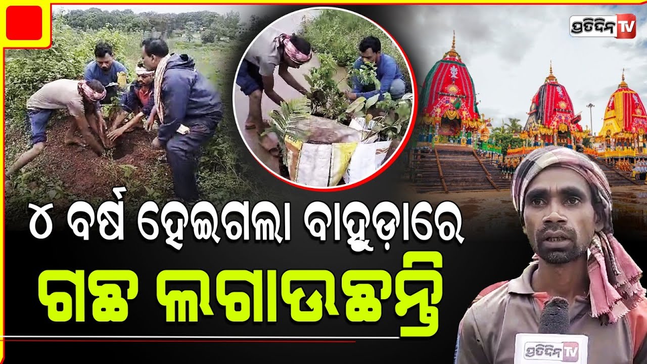 ରାୟଗଡ଼ାରେ ଶ୍ରୀଗୁଣ୍ଡିଚା ରୁ ବାହୁଡା଼ ଯାତ୍ରାରେ ପ୍ରତିବର୍ଷ ବୃକ୍ଷରୋପଣ କରୁଛନ୍ତି କାଶୀପୁରର ଯୁବକ l Rayagada