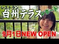 【白州テラス】白州蒸留所にレストランがオープンしました🍴Hakushu Terrace店内の様子をレポート🥃テイクアウトしてフリースペースでもくつろげますよ🍧