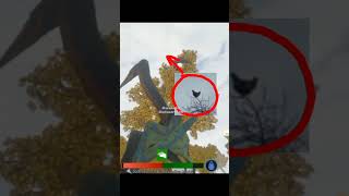 quetzal momen #dinosaurus #games #meme #shorts