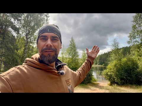 Overnight in the woods with Rufus: Suddenly an adder | Part 2