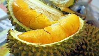 Cara 'BELAH DUREN' Yang Mudah