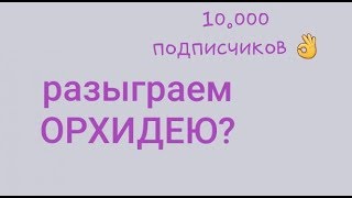 розыгрыш ПРИЗА в честь 10.000 подписчиков: делаем, что ли? ))) розыгрыш ПРИЗА в честь 10.000 подписчиков: делаем, что ли? )))