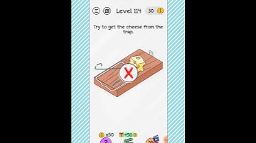 BRAINDOM : LEVEL 114