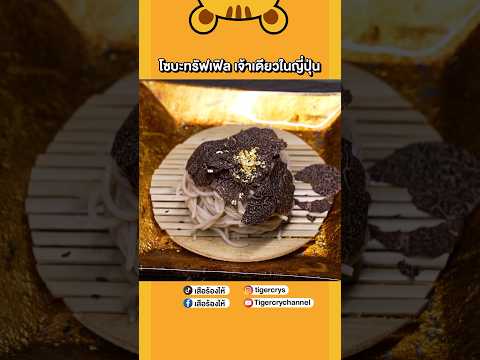 ผลสลากกินแบ่งรัฐบาล วันที่ 1 พย. 2567 ผลสลากกินแบ่งรัฐบาล วันที่ 1 พย. 2567